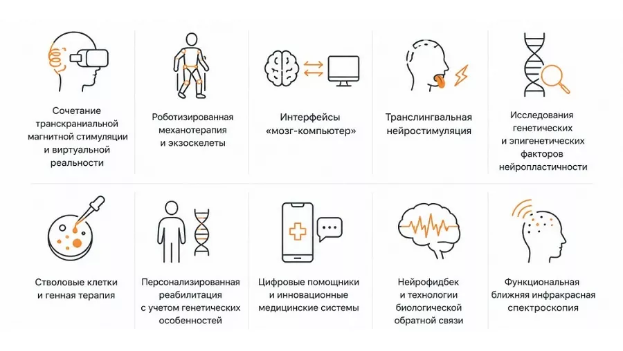 Направления развития реабилитации.jpg